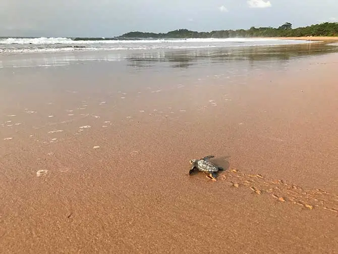Beaches in Ghana