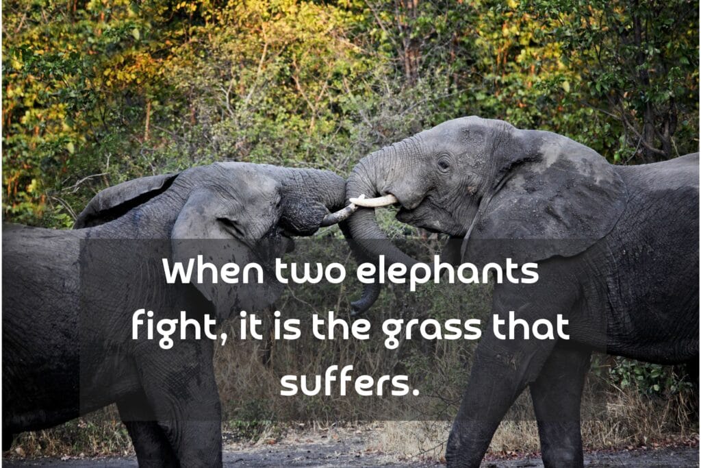 Ghanaian Proverb