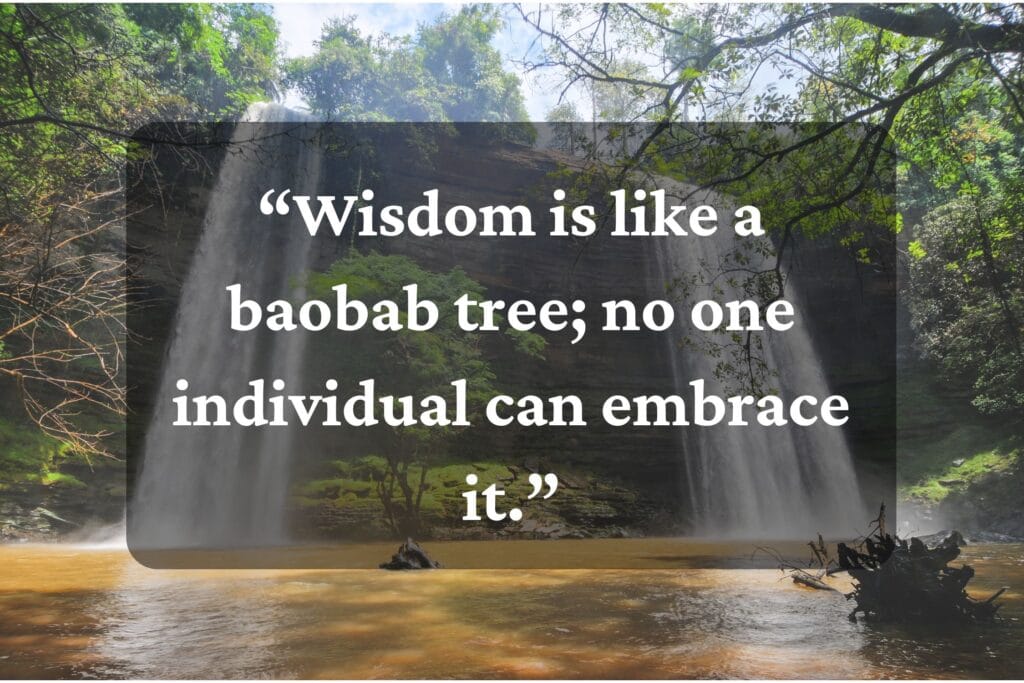 Ghanaian Proverbs
