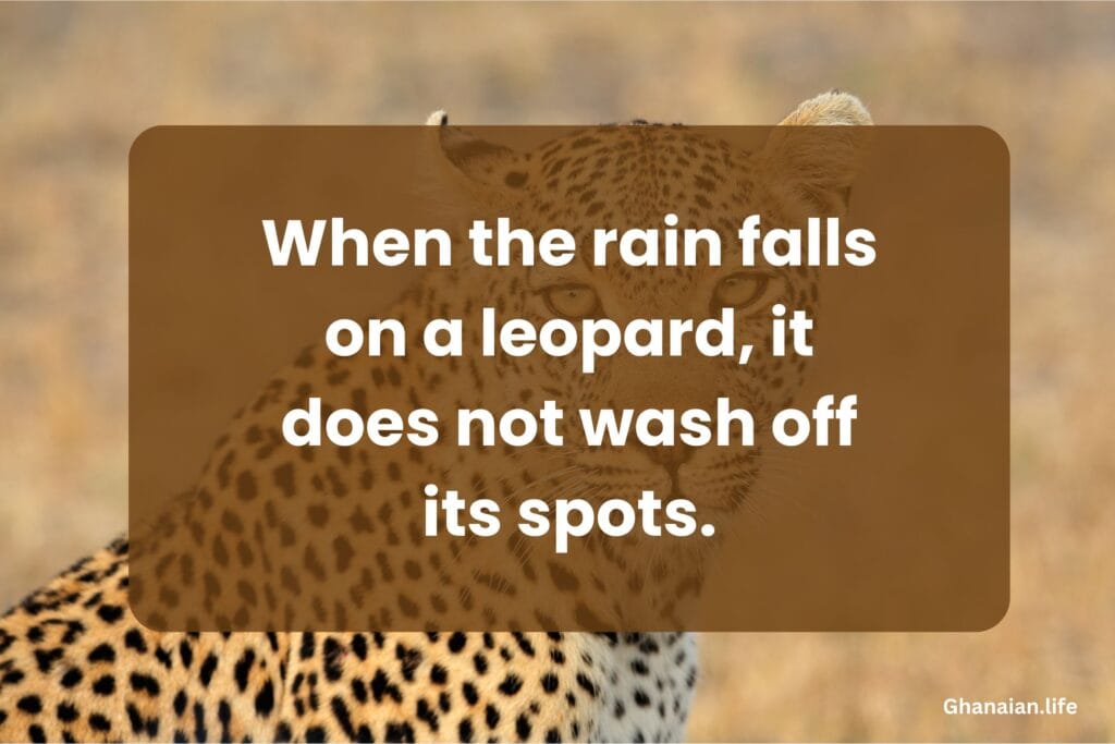 Ghanaian Proverb