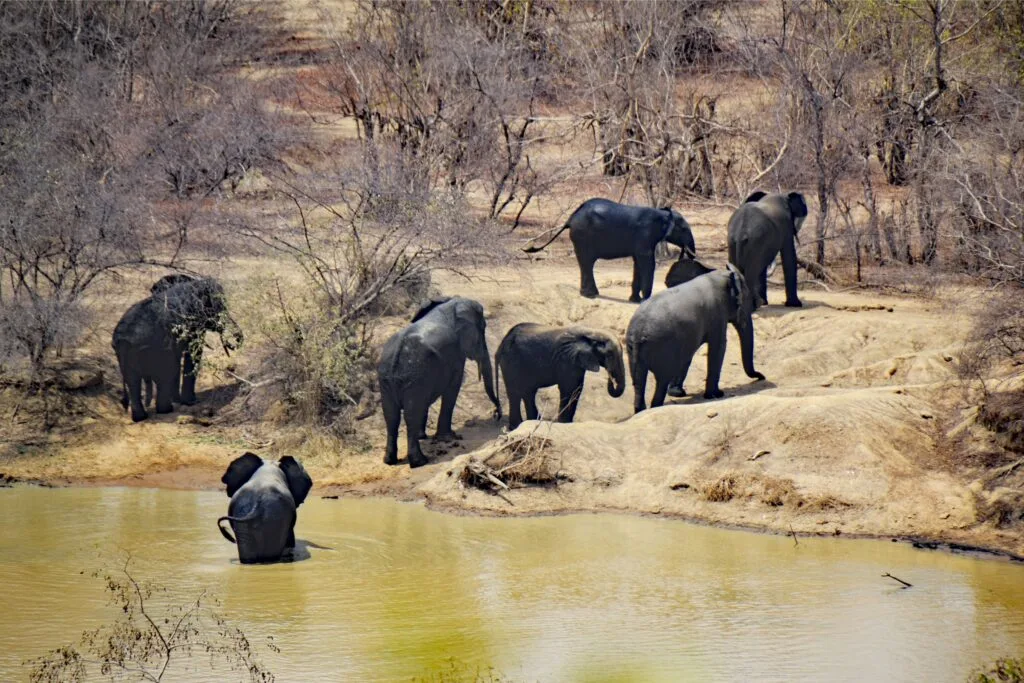 Ghana’s most amazing parks