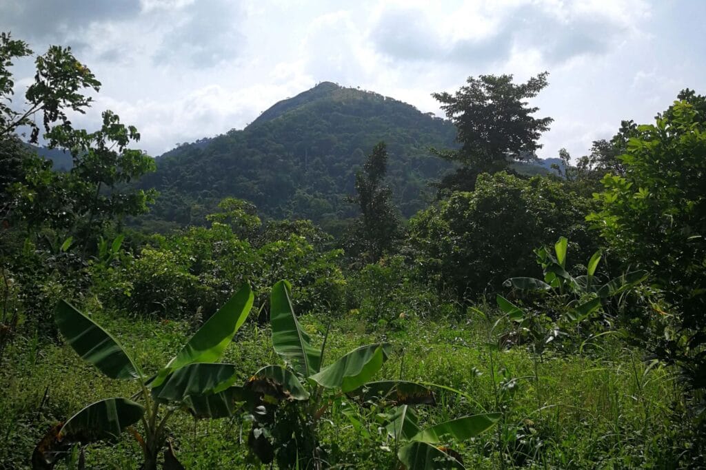 Explore Wli Waterfalls