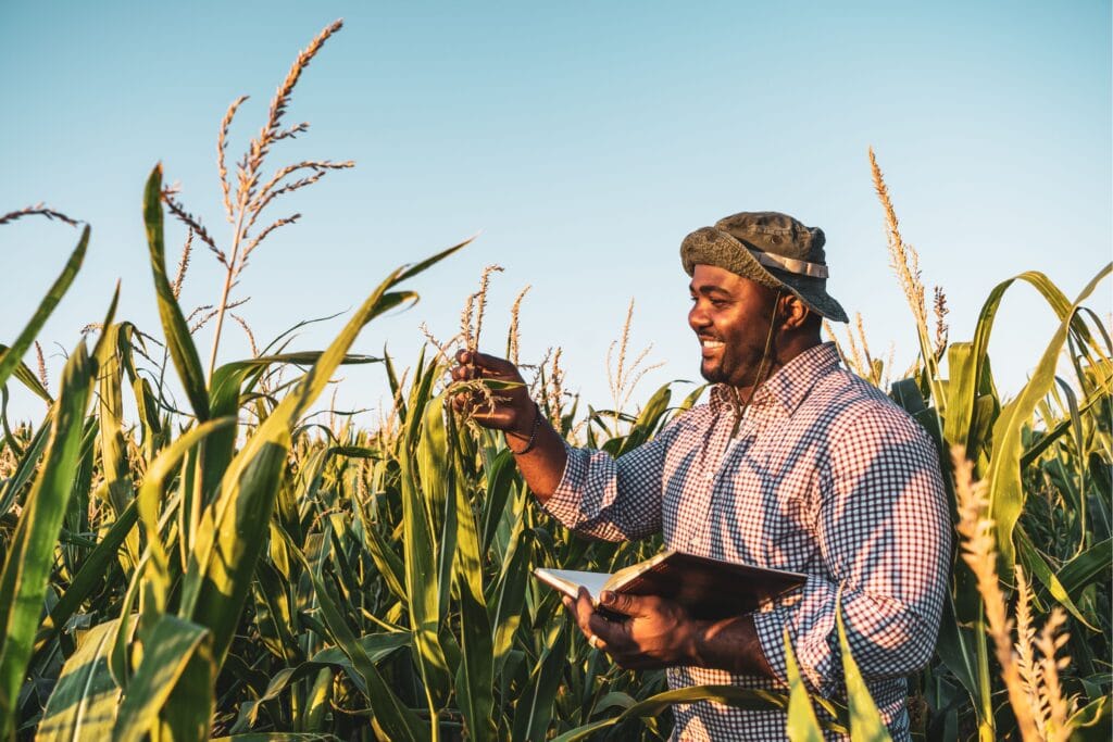 technology in Ghanaian agriculture