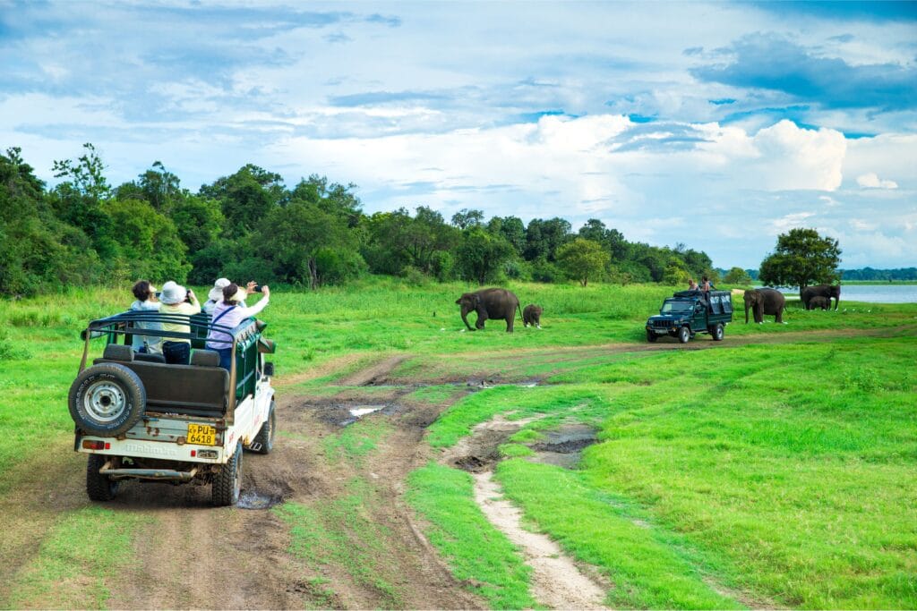 Ghana’s most amazing parks