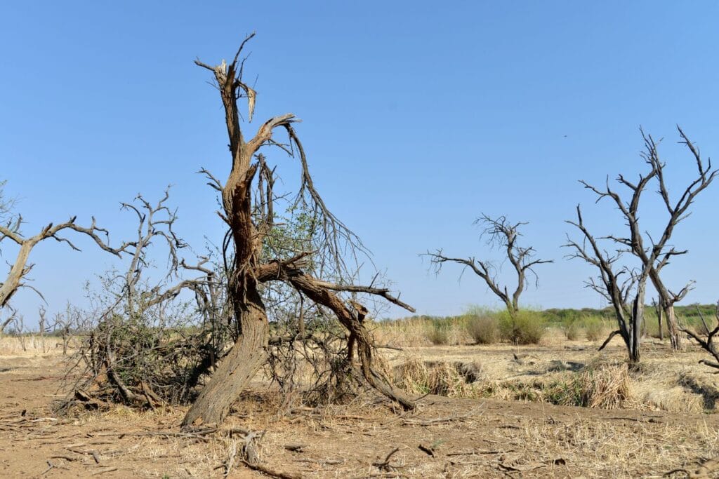 Drought in Northern Ghana