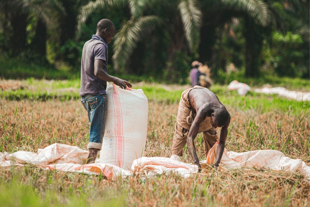 Creating Jobs and Empowering Communities