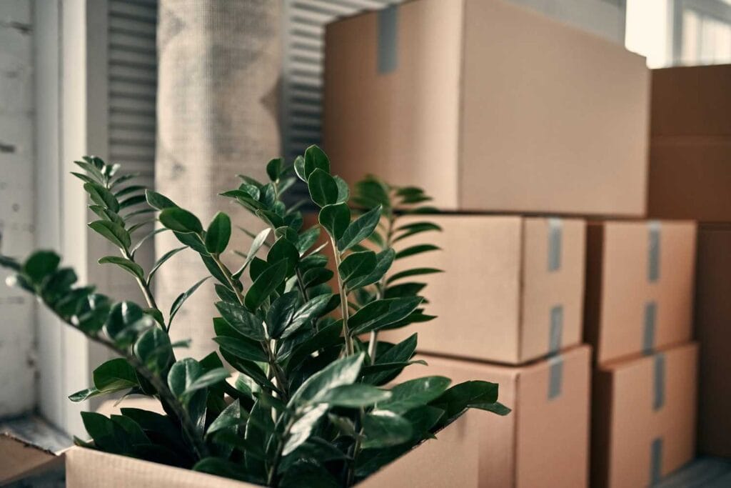 Shipping Your Belongings to Ghana