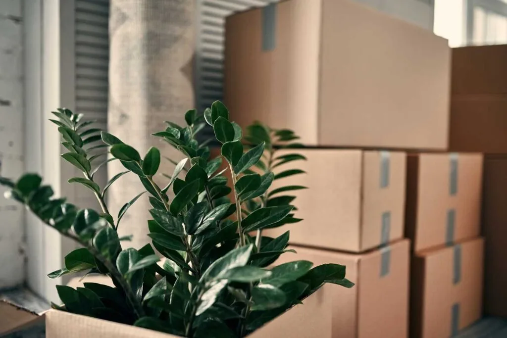 Shipping Your Belongings to Ghana