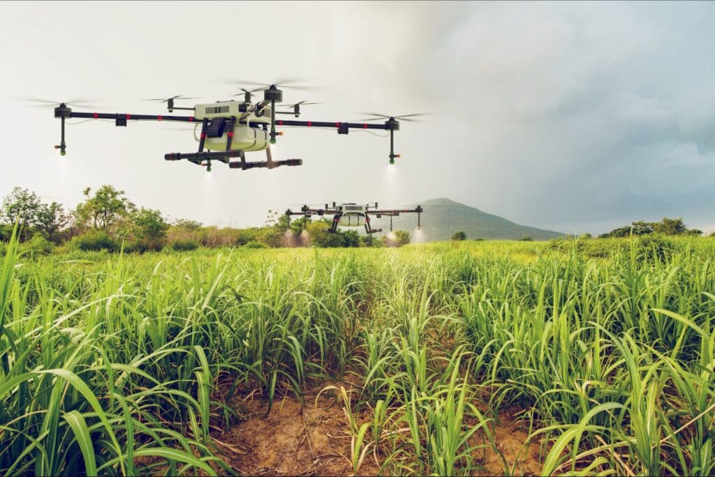 AI in Ghanaian agriculture