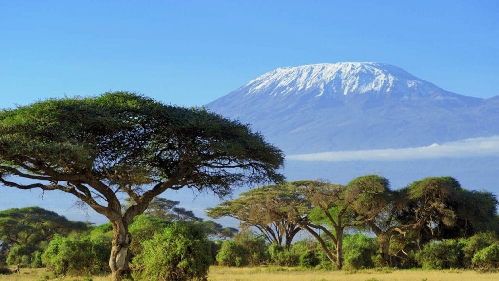 Amazing African Facts